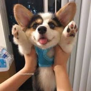 Meet your Posher, Alana